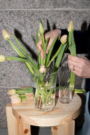 Stilleben Concave Vase - 20 cm⼁Swirl Vase Clear