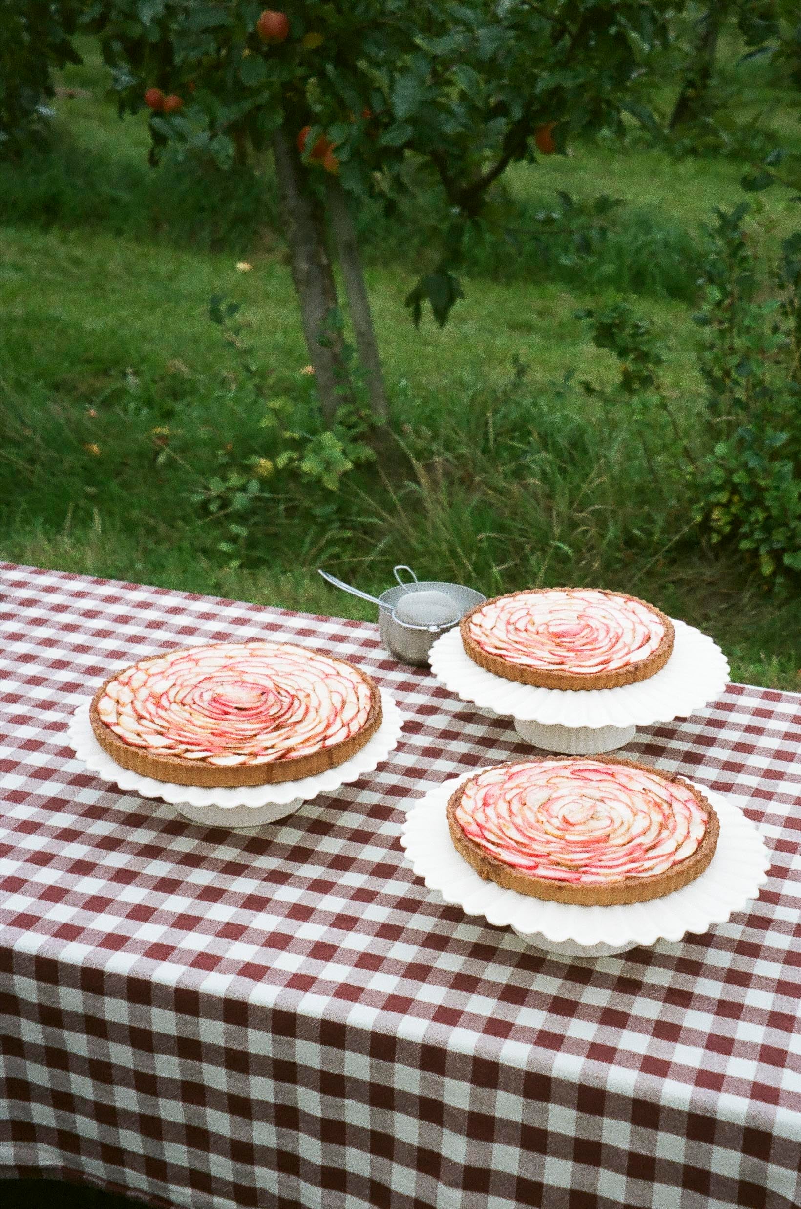 STILLEBEN-AROUND-THE-TABLE-KLARAS-TABLE_019.jpg